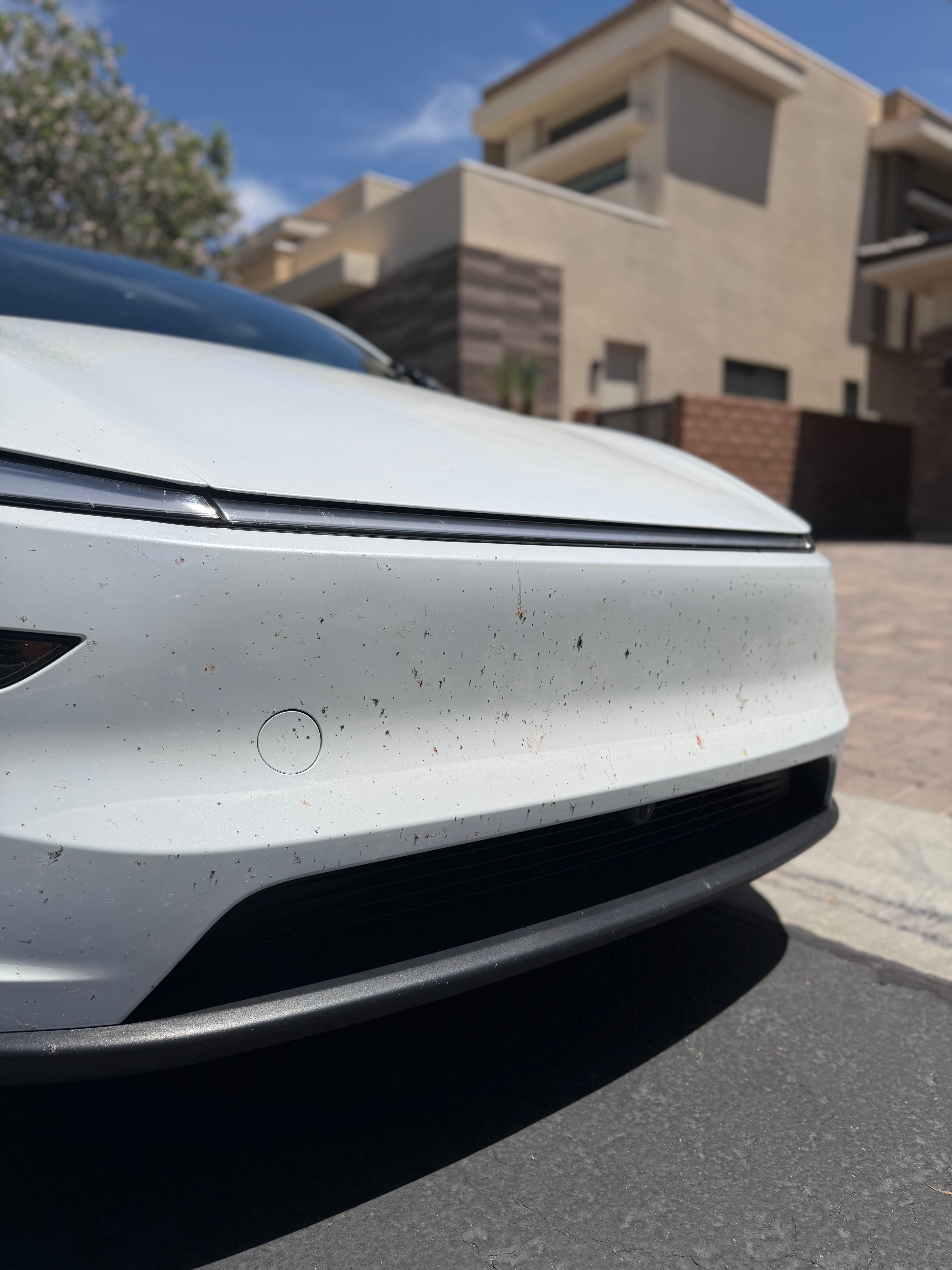 Project Bug Splatter Removal That Actually Protects Your Paint image