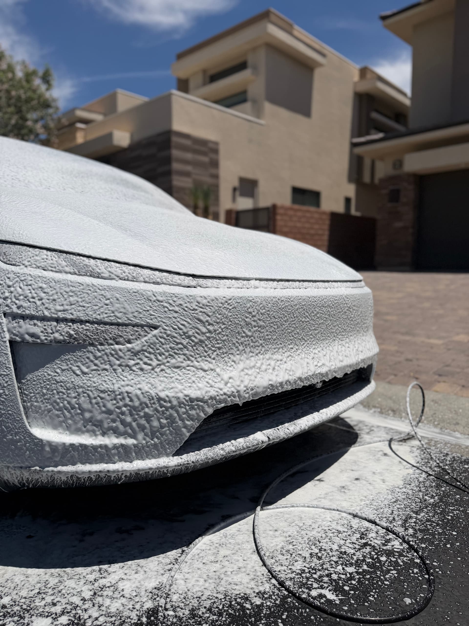 Gallery photos for Bug Splatter Removal That Actually Protects Your Paint: Image #1