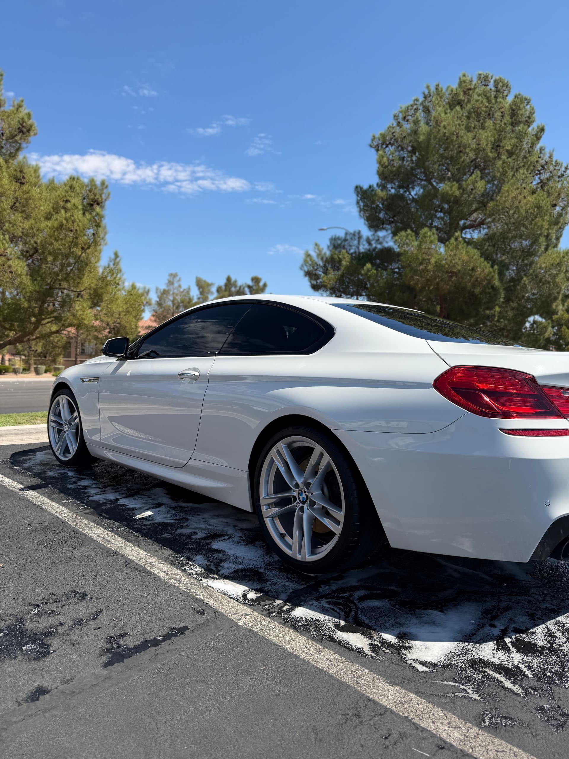 Gallery photos for Annual Full Detail on a BMW 6 Series Done Right: Image #1