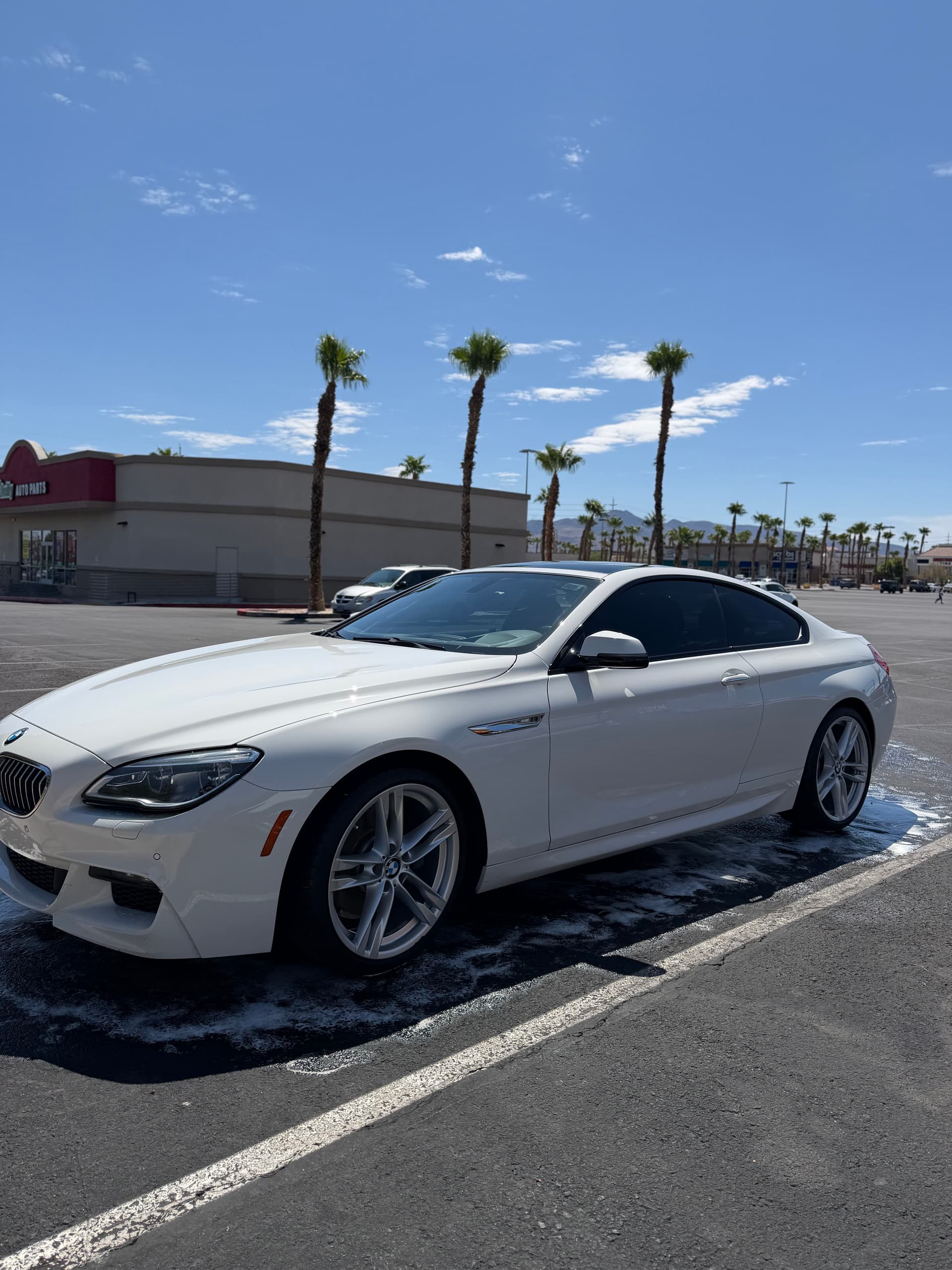 Gallery photos for Annual Full Detail on a BMW 6 Series Done Right: Image #2