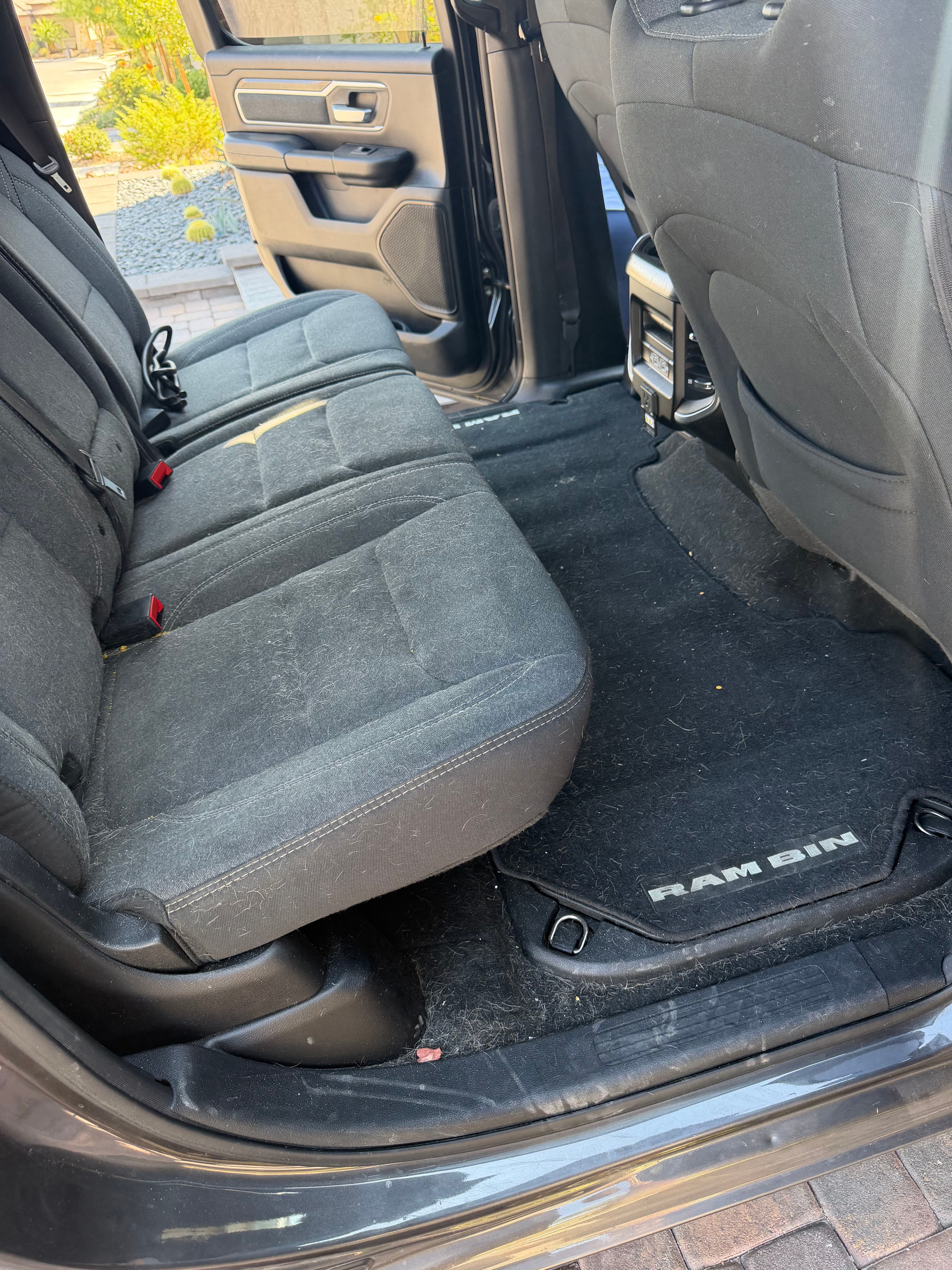 Project Pet Hair in Your Truck's Backseat? We Handle That image