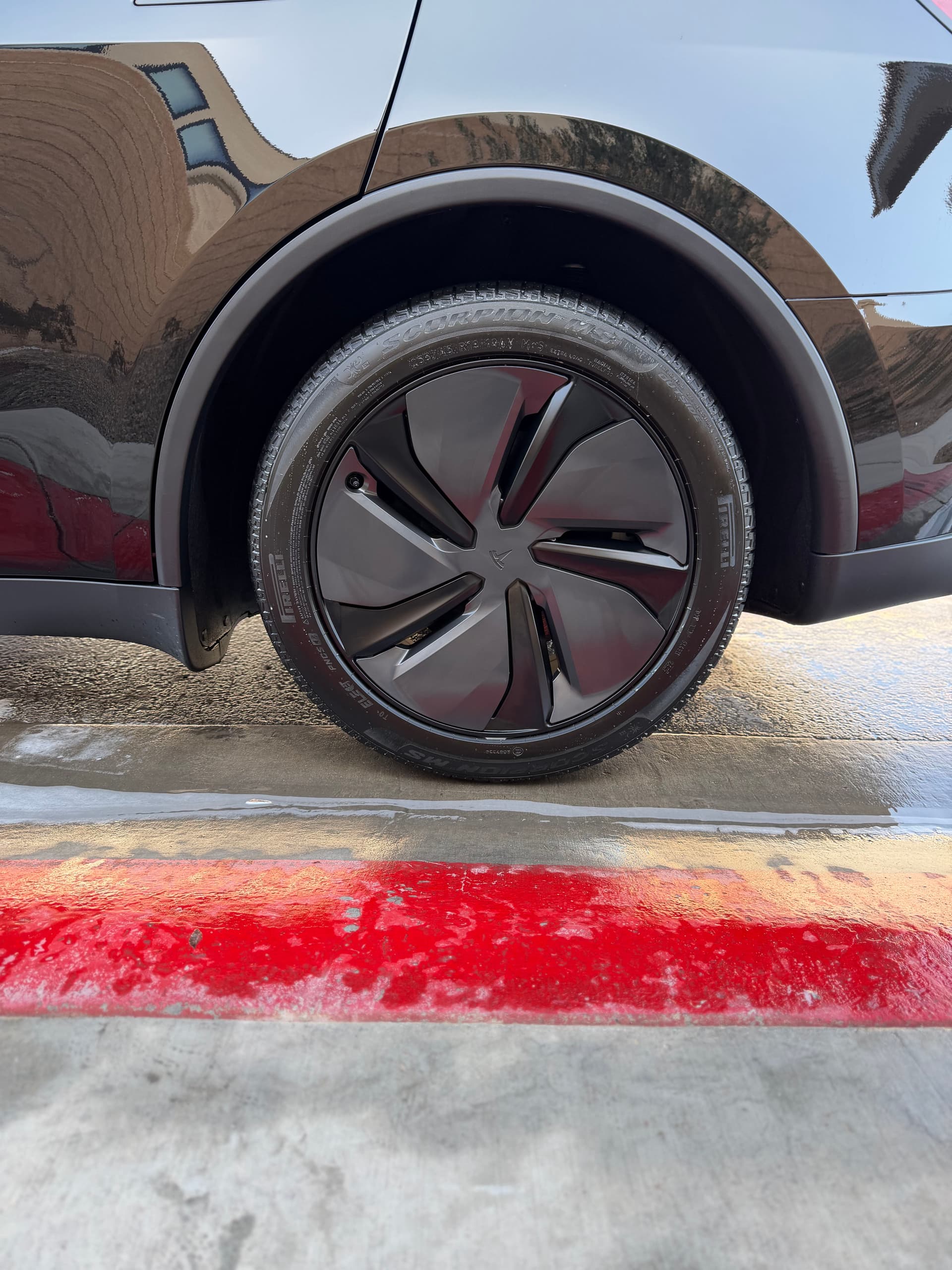 Gallery photos for Brand New Tesla Model Y Detailed and Coated with Gyeon CanCoat: Image #4