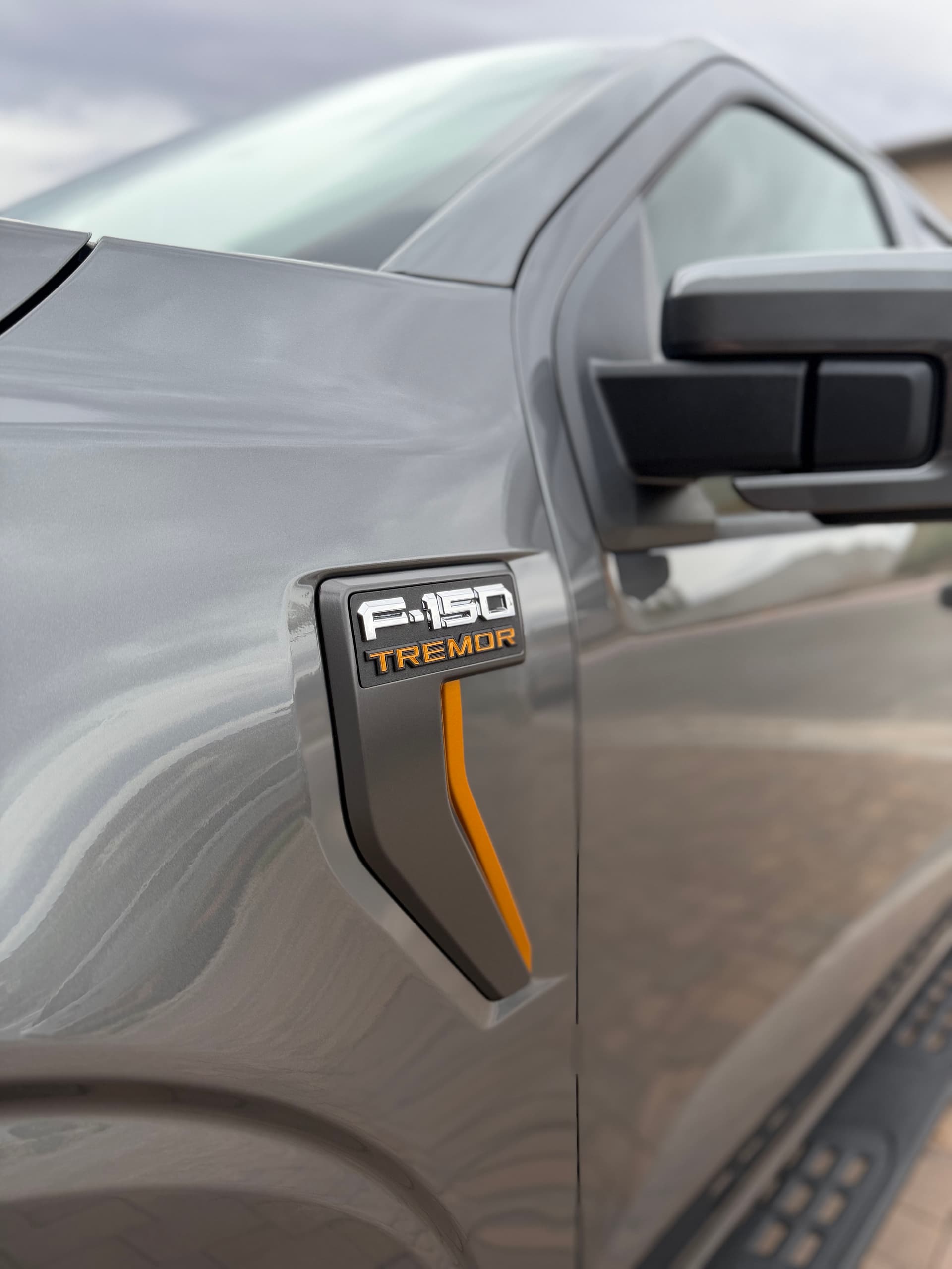 Gallery photos for F-150 Tremor Full Detail and Ceramic Sealant in Henderson NV: Image #5