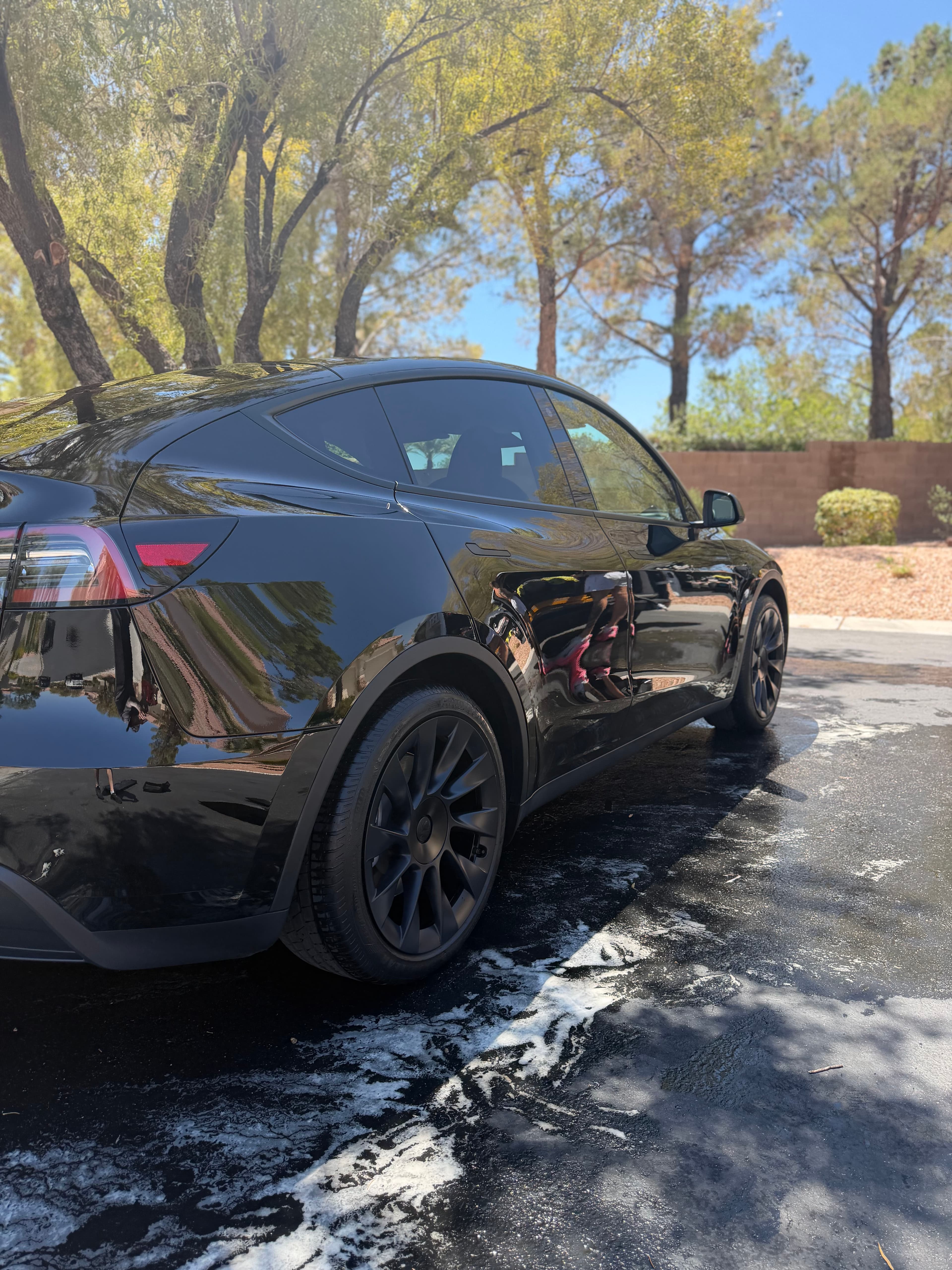 Project Fresh Detail on a Black Tesla Model Y image