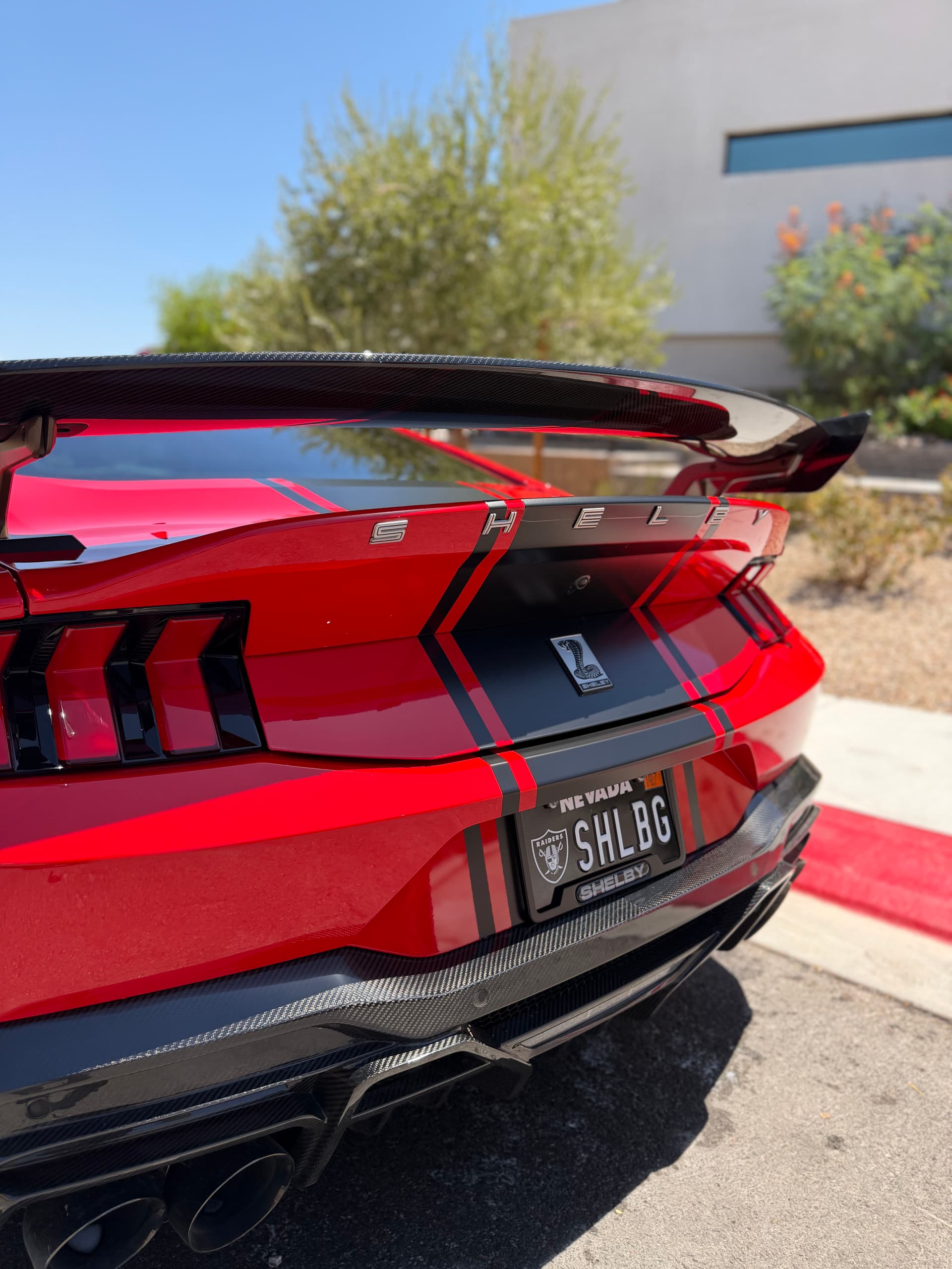 Gallery photos for Shelby Super Snake Gets a Full Detail and Paint Protection Treatment: Image #1