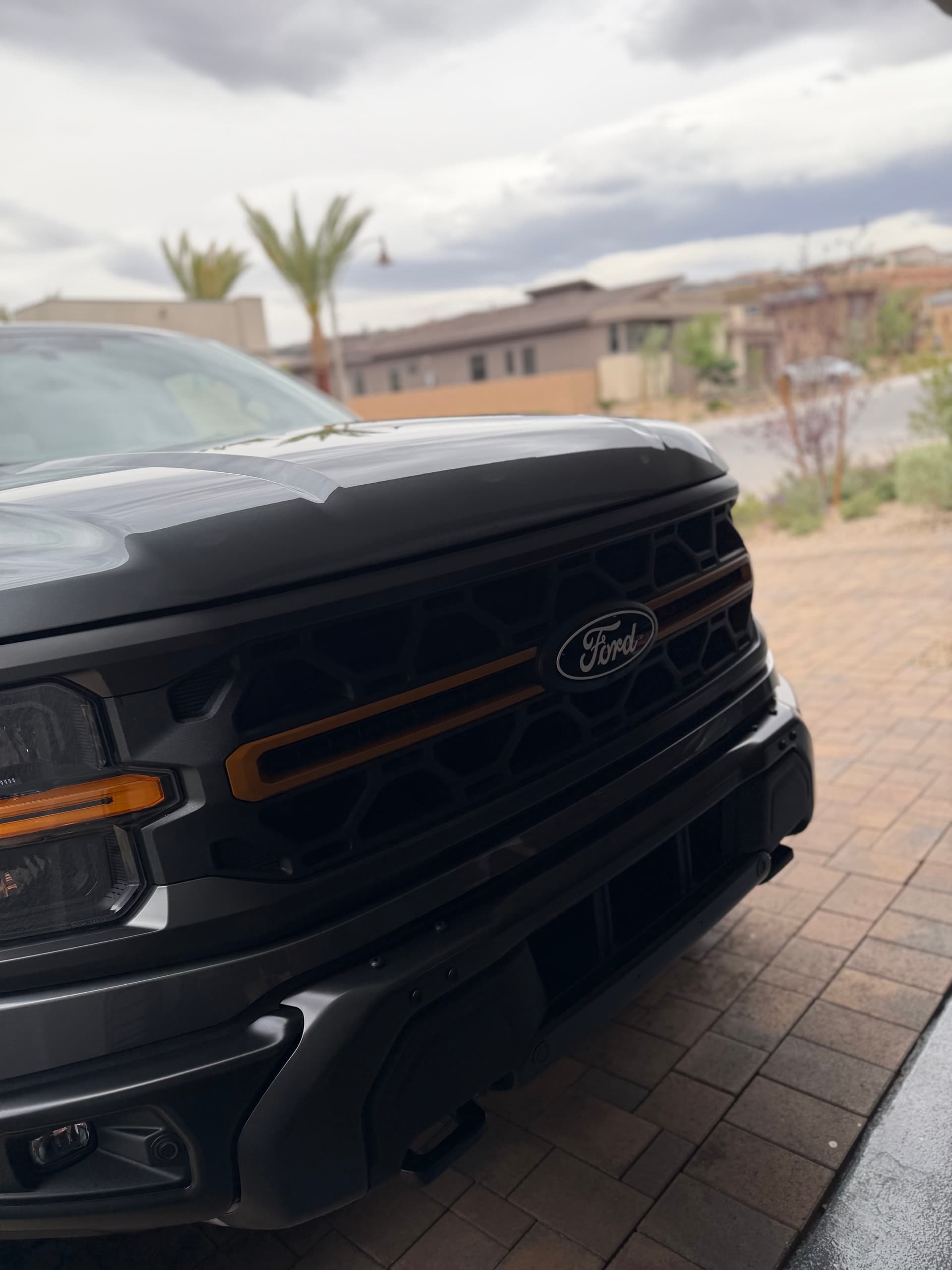 Gallery photos for F-150 Tremor Full Detail and Ceramic Sealant in Henderson NV: Image #4