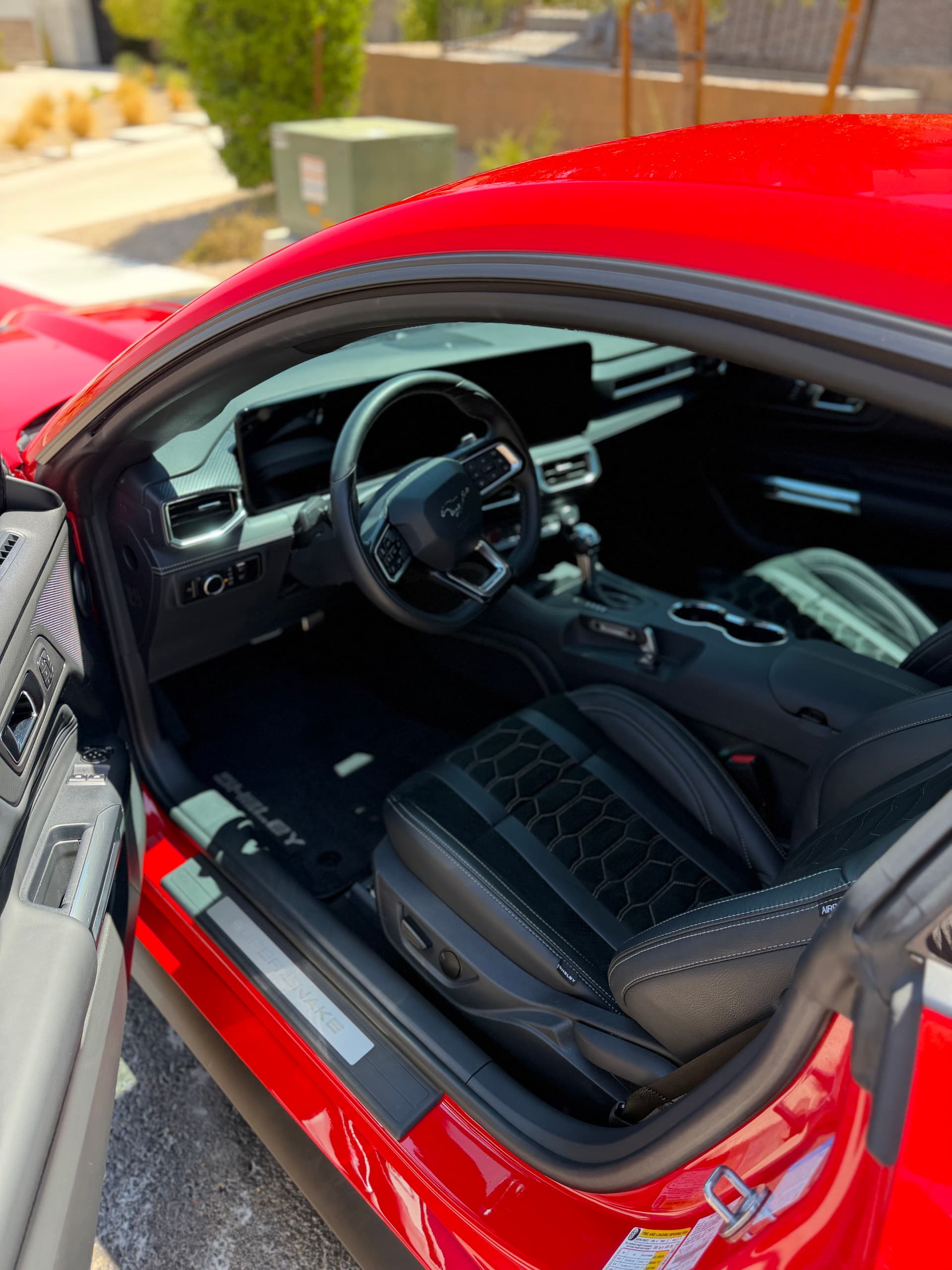 Gallery photos for Shelby Super Snake Gets a Full Detail and Paint Protection Treatment: Image #8