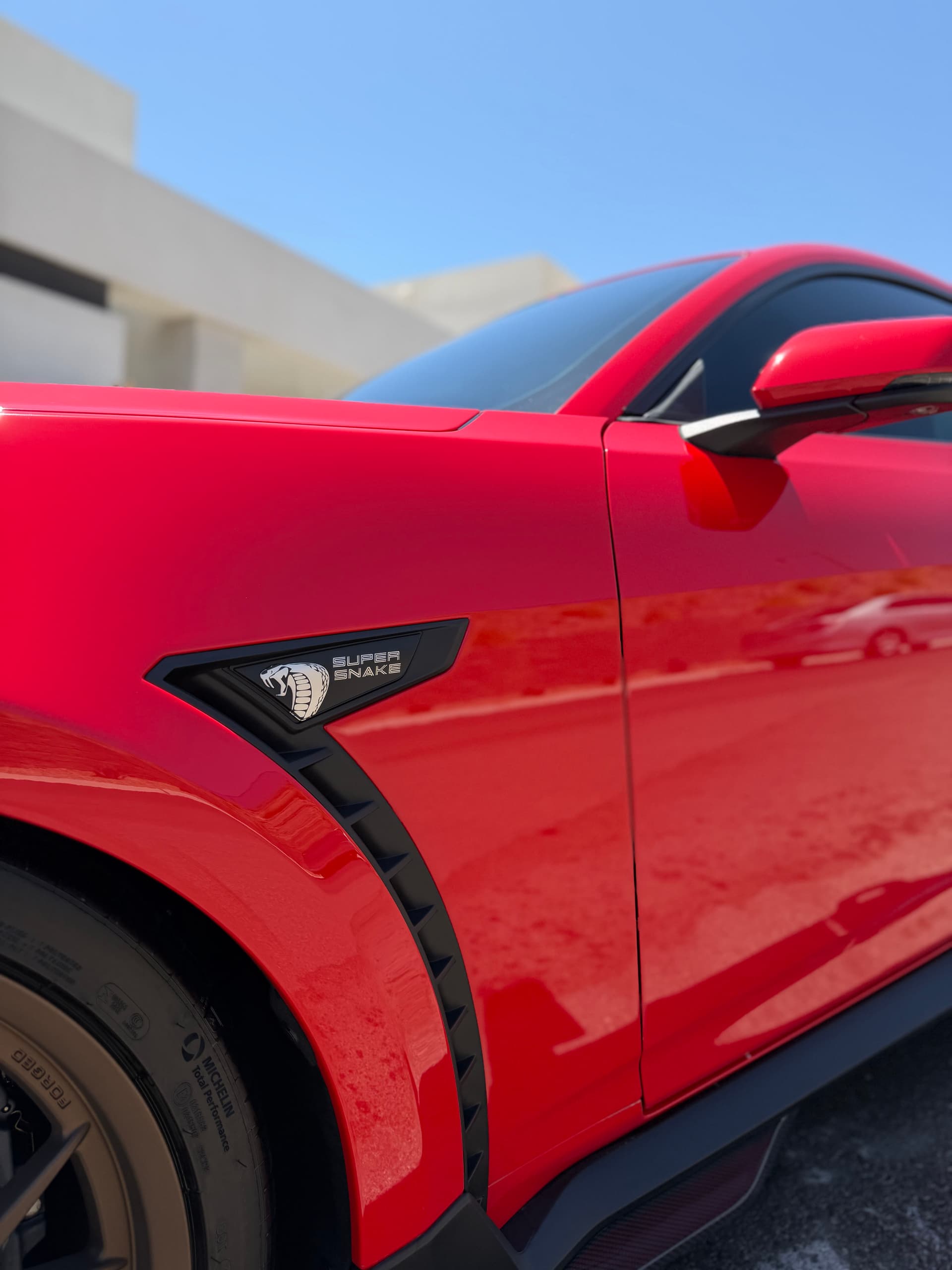 Shelby Super Snake Gets a Full Detail and Paint Protection Treatment image