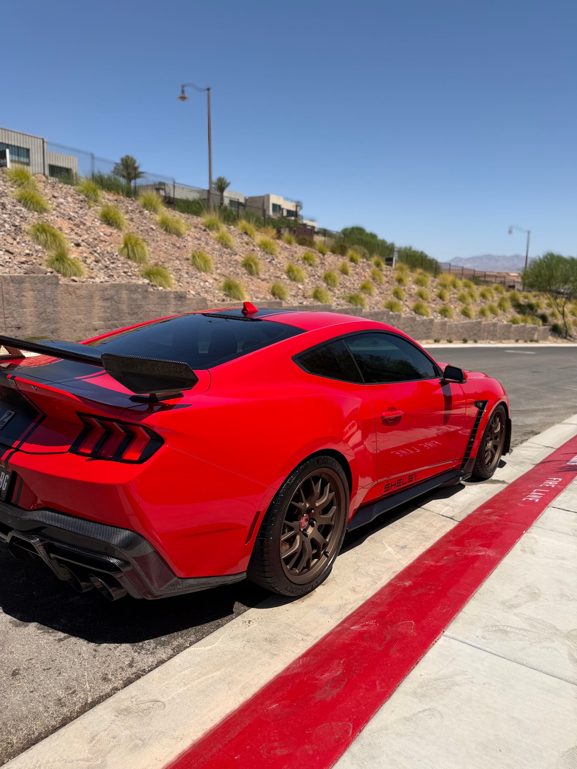 Gallery photos for Shelby Super Snake Gets a Full Detail and Paint Protection Treatment: Image #7